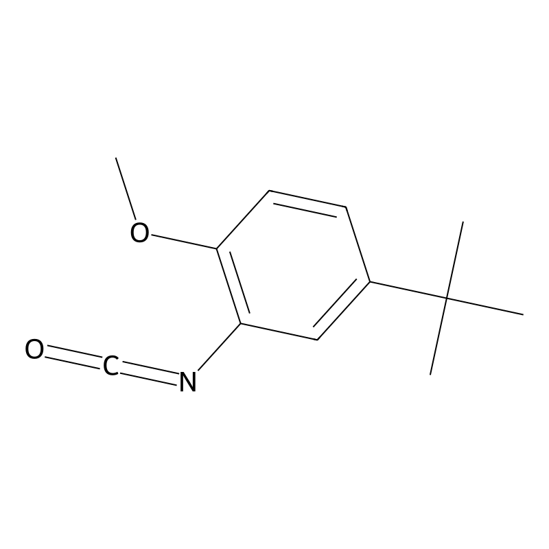 Buy 5 Tert Butyl 2 Methoxyphenyl Isocyanate 284462 77 7