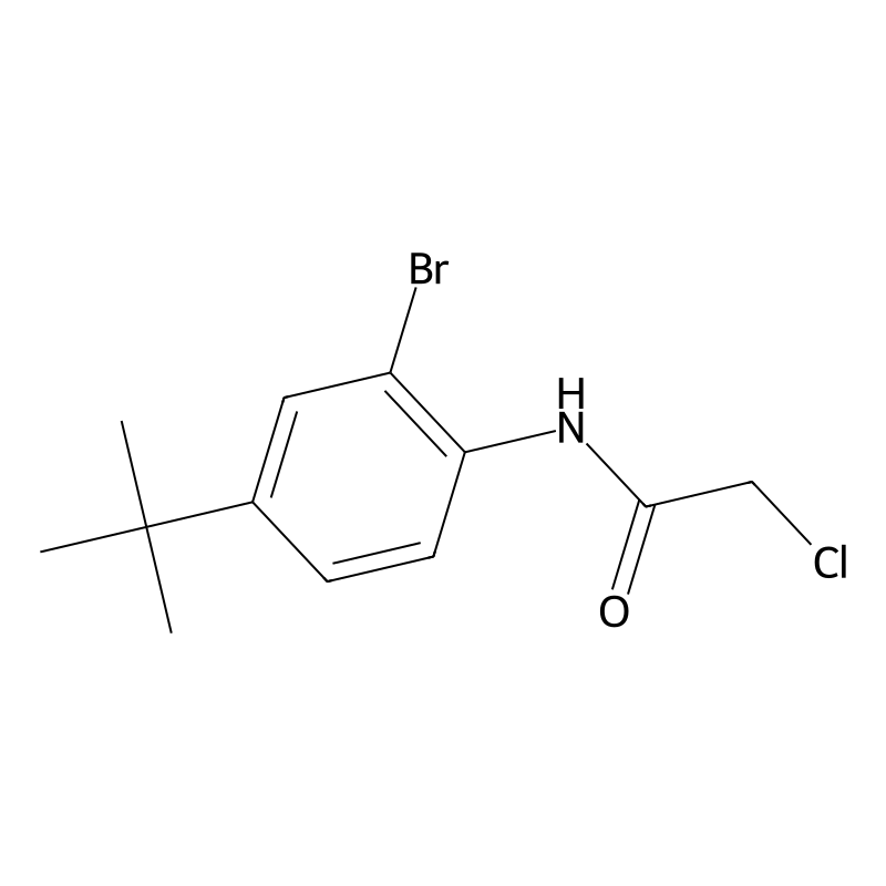 Buy N Bromo Tert Butyl Phenyl Chloroacetamide