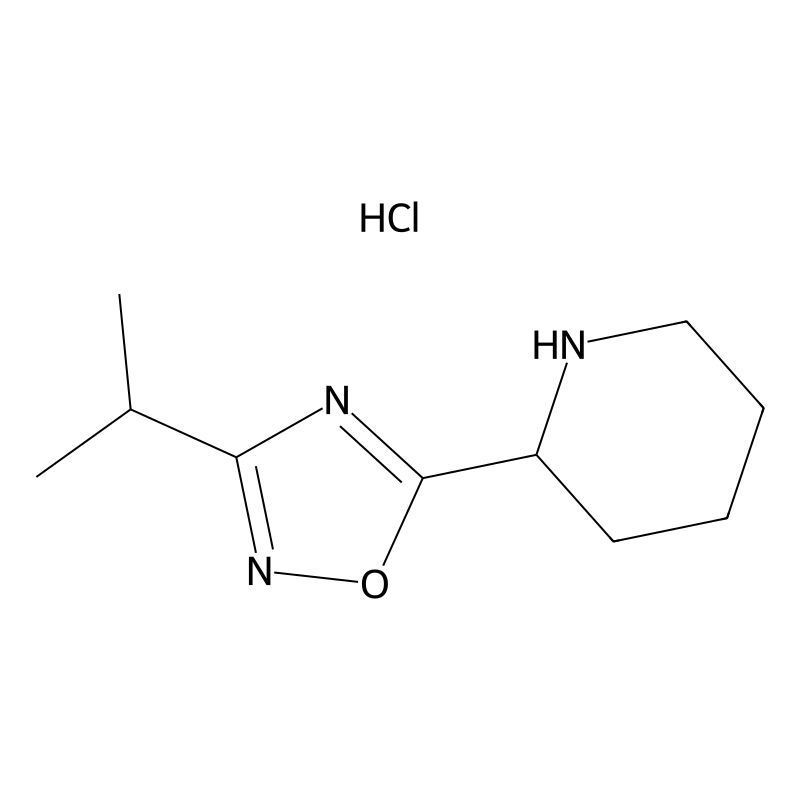 Buy 2 3 Isopropyl 1 2 4 Oxadiazol 5 Yl Piperidine Hydrochloride