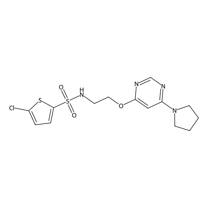 Buy 5 Chloro N 2 6 Pyrrolidin 1 Yl Pyrimidin 4 Yl Oxy Ethyl