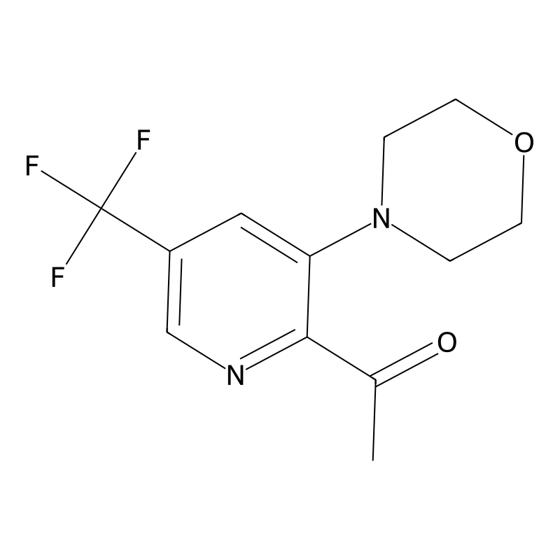 Buy Morpholino Trifluoromethyl Pyridinyl Ethanone