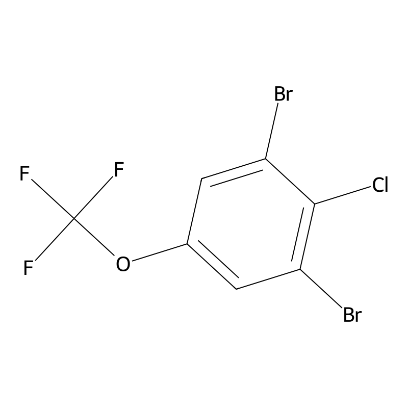 Buy Dibromo Chloro Trifluoromethoxy Benzene