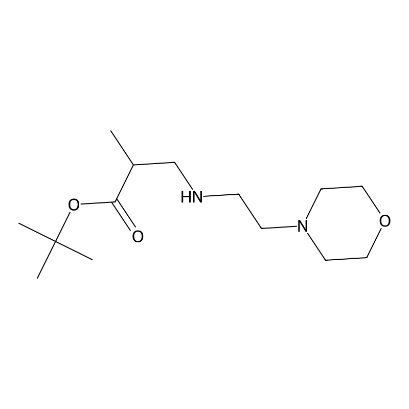 Buy Tert Butyl Methyl Morpholin Yl Ethyl Amino Propanoate