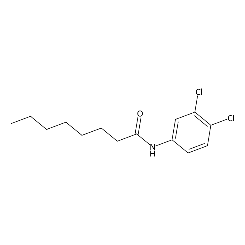 Buy N 3 4 Dichlorophenyl Octanamide 730 25 6