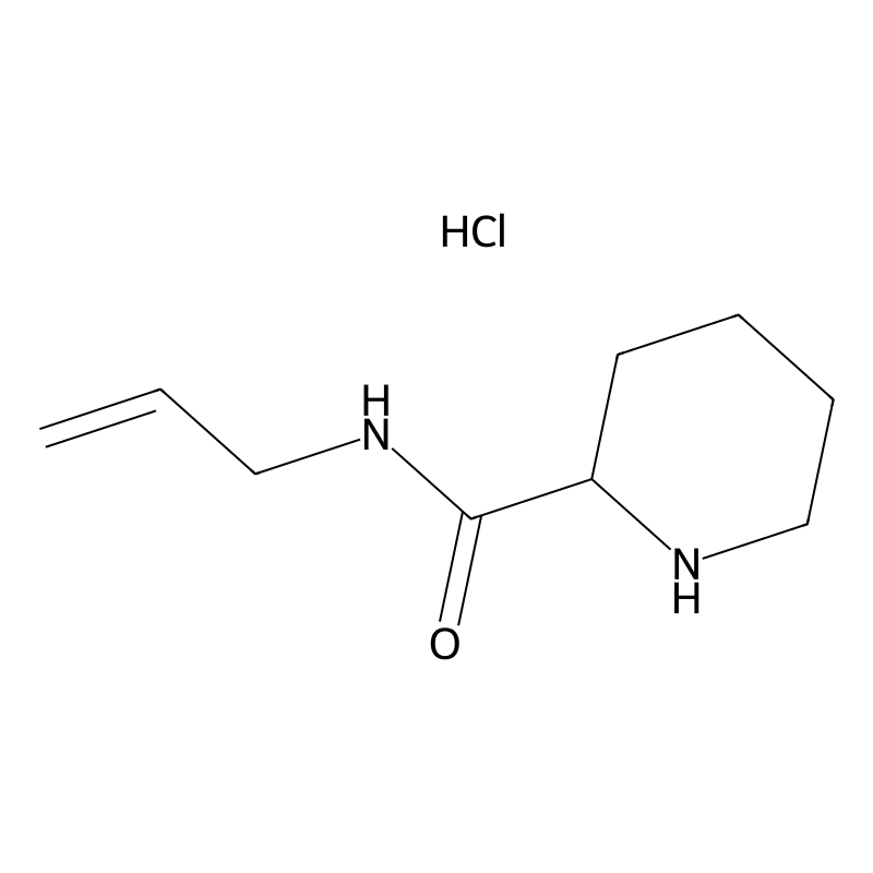 Buy N Allyl 2 Piperidinecarboxamide Hydrochloride 1236255 00 7