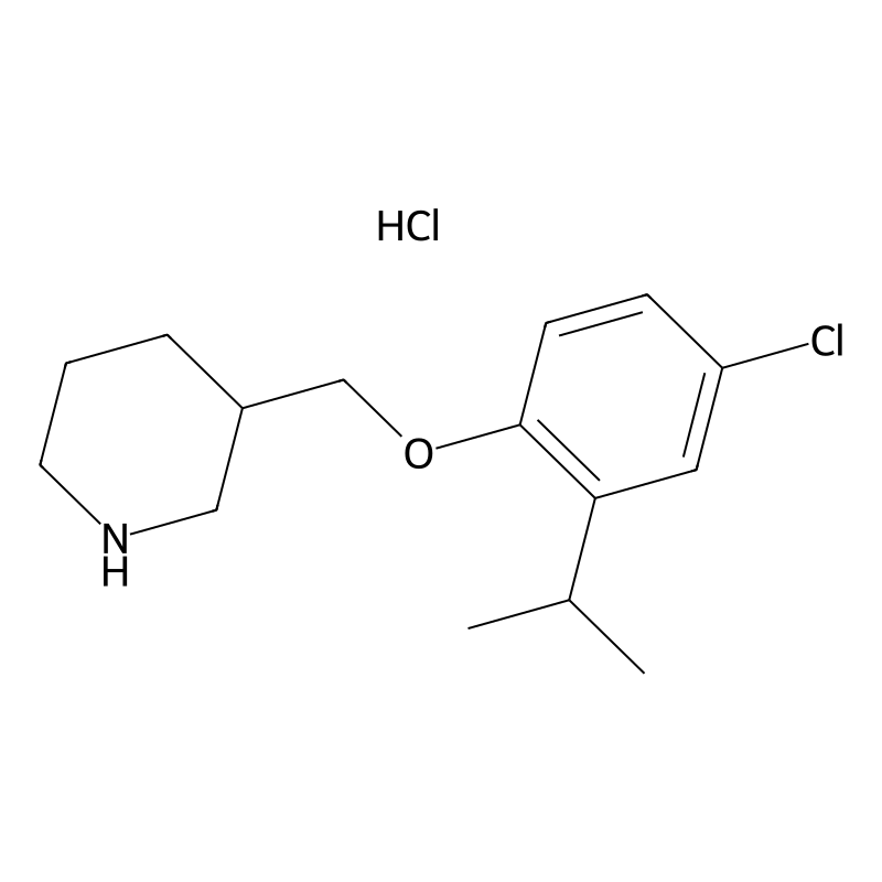 Buy 3 4 Chloro 2 Isopropylphenoxy Methyl Piperidine Hydrochloride