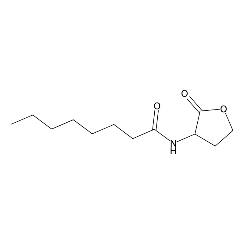 N-(2-oxooxolan-3-yl)octanamide