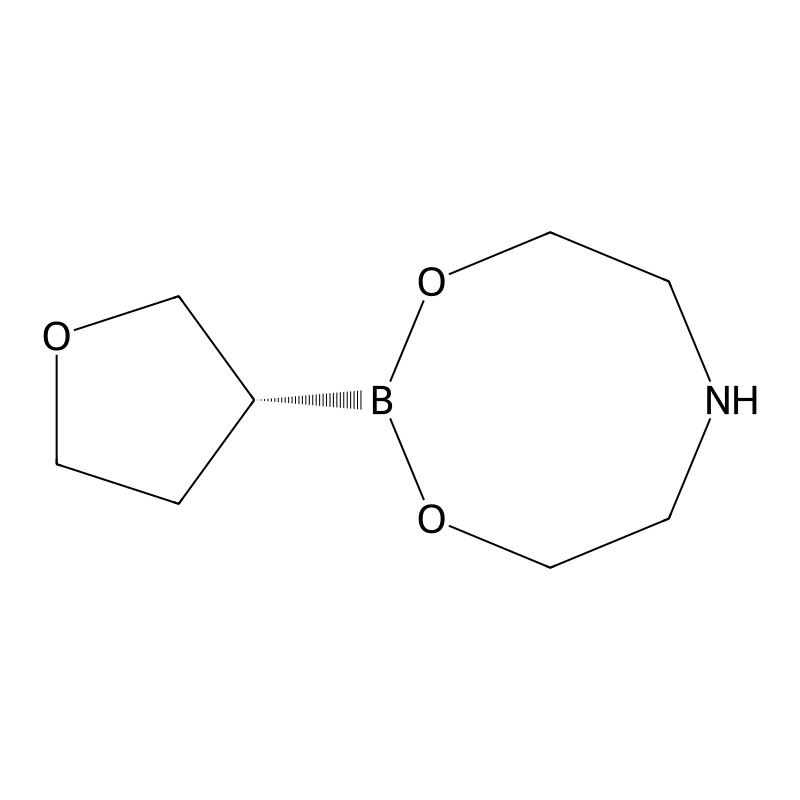 Diethanolamine-(3R)-(+)-tetrahydrofuranylboronate