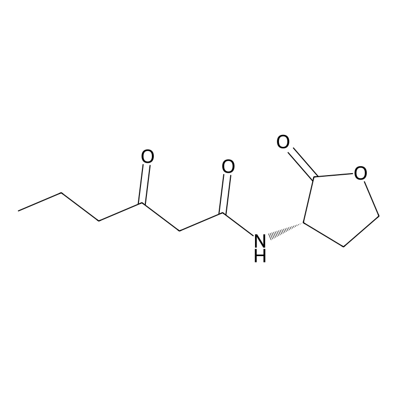 N-(3-Oxohexanoyl)-L-homoserine lactone