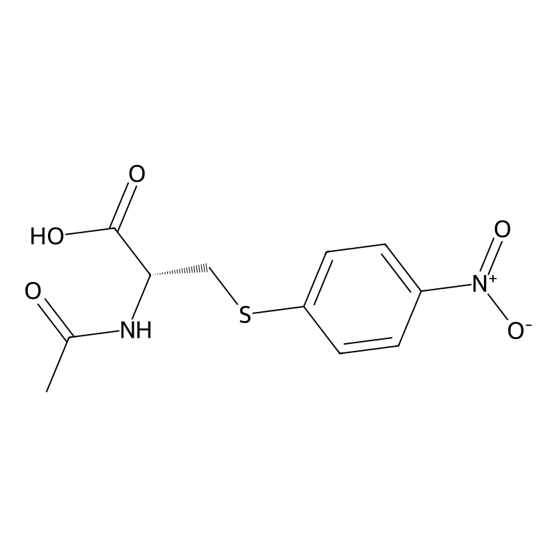 N-Acetyl-S-(4-nitrophenyl)-L-cysteine