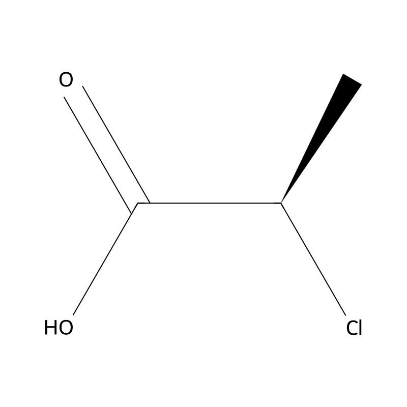 (R)-(+)-2-Chloropropionic acid