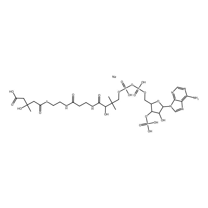 DL-3-Hydroxy-3-methylglutaryl coenzyme A sodium sa...