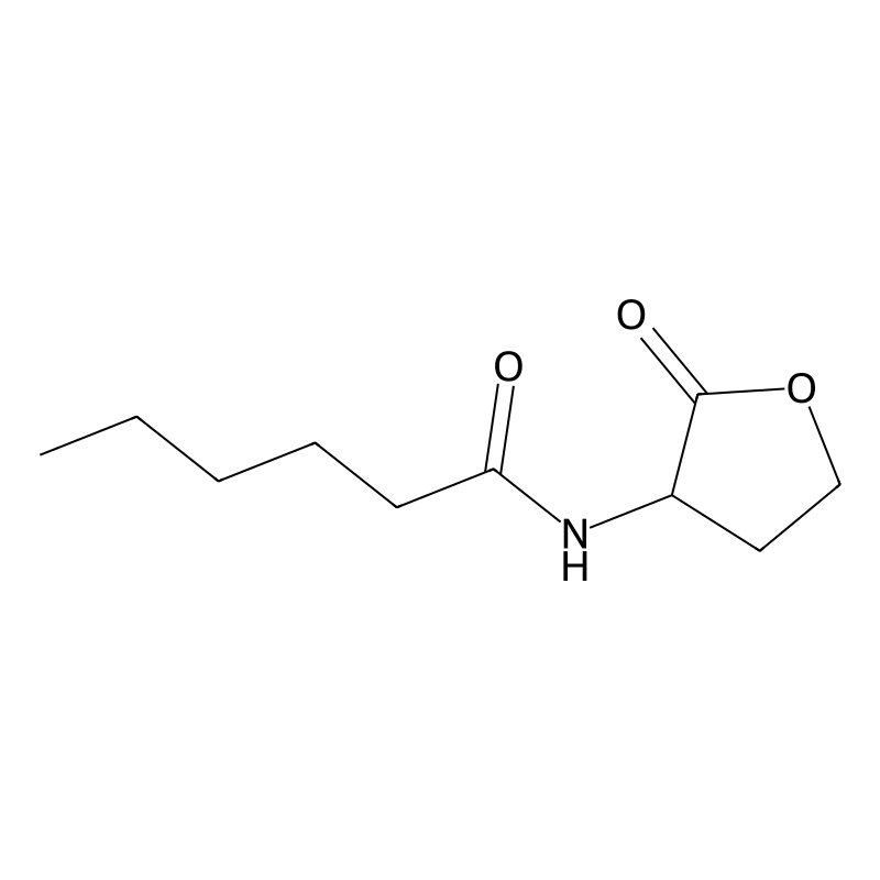 N-(2-oxooxolan-3-yl)hexanamide