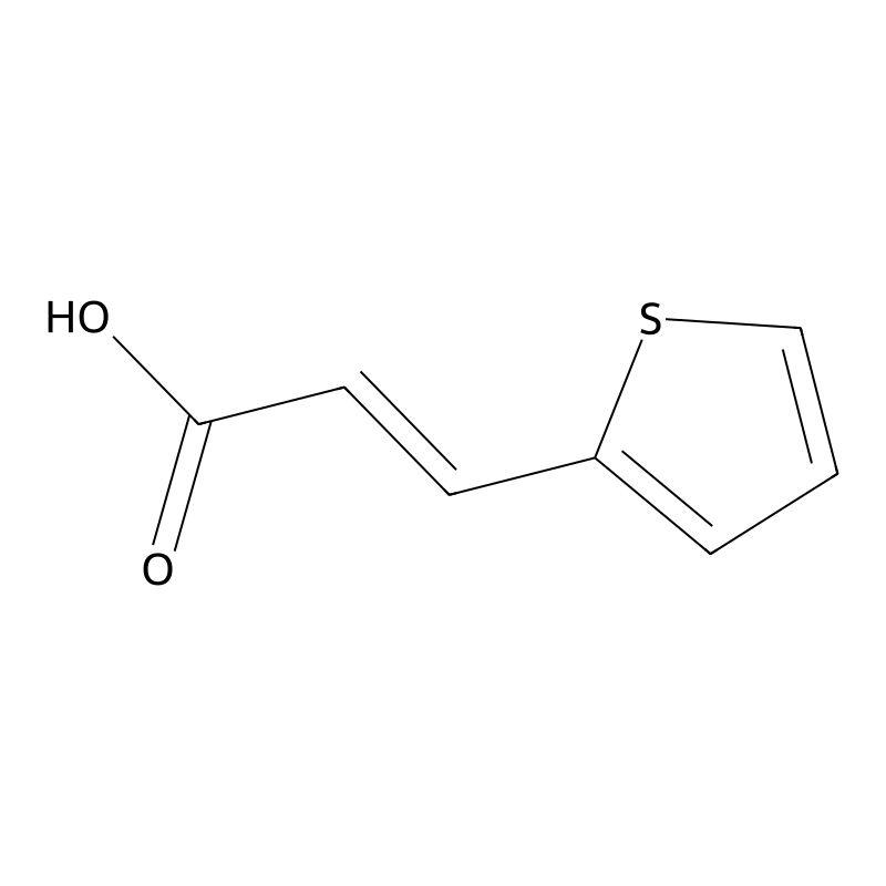 3-(2-Thienyl)acrylic acid