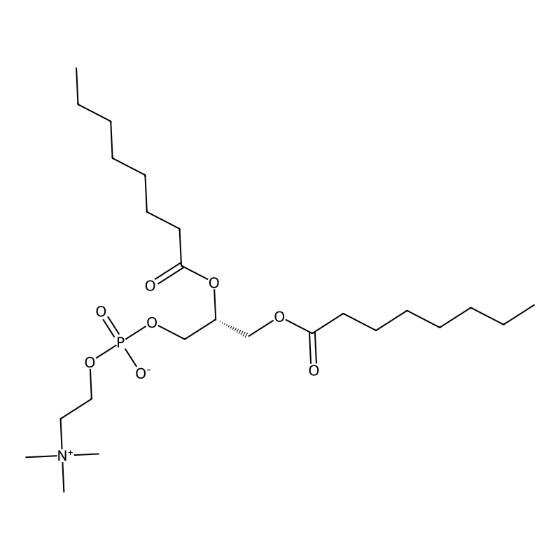 1,2-Dioctanoyl-sn-glycero-3-phosphocholine