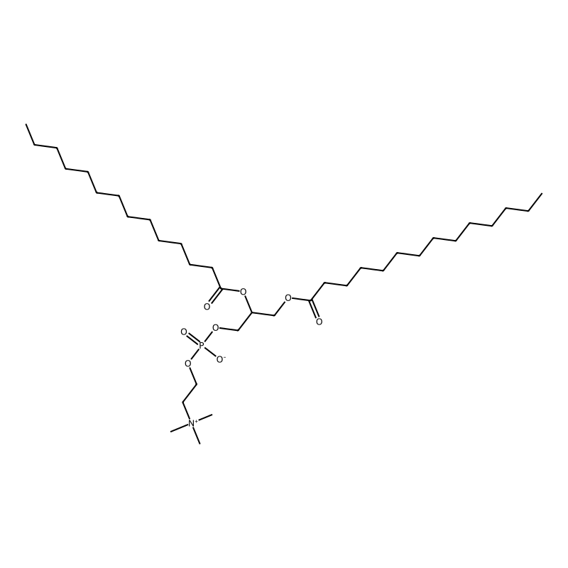 Dimyristoylphosphatidylcholine, DL-