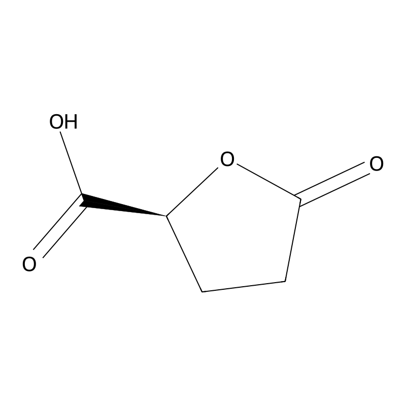 (S)-(+)-5-Oxo-2-tetrahydrofurancarboxylic acid