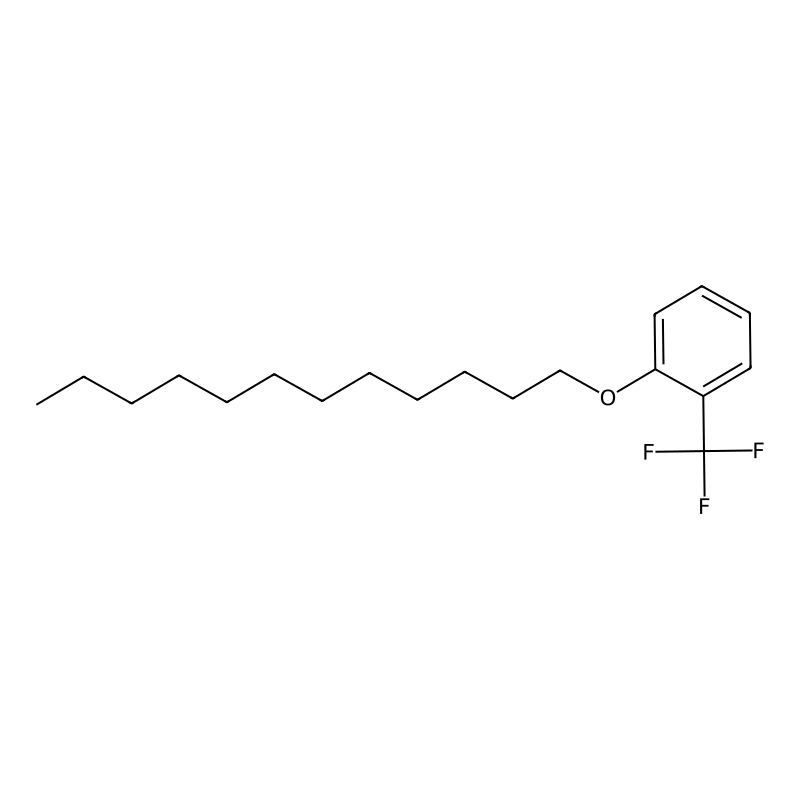 Dodecyl [2-(trifluoromethyl)phenyl] ether