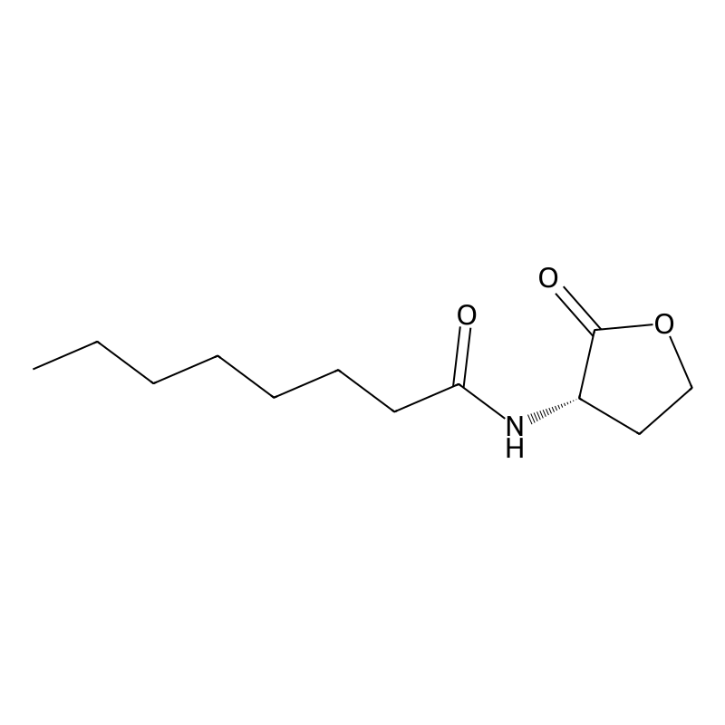 N-(2-Oxotetrahydrofuran-3-YL)octanamide