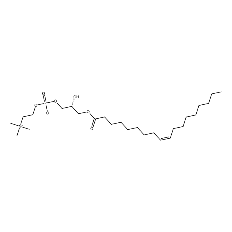 1-(9Z-octadecenoyl)-sn-glycero-3-phosphocholine