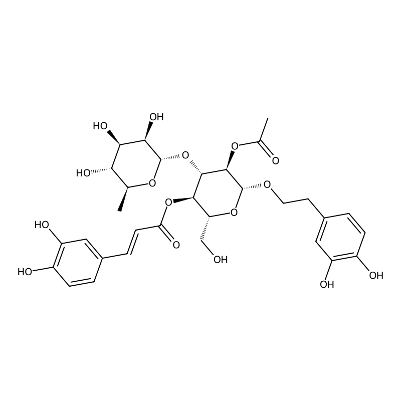 2-Acetylacteoside