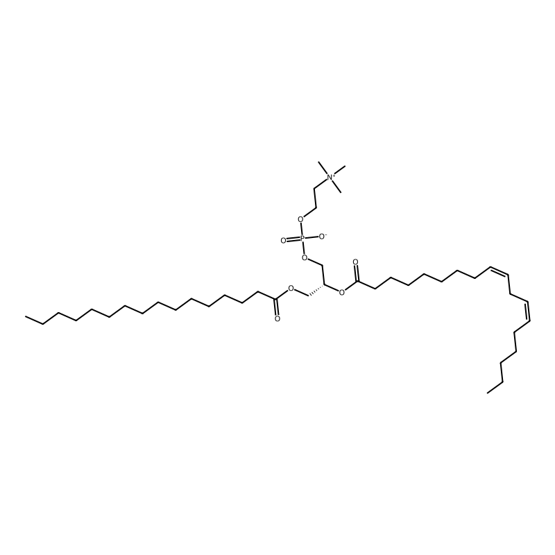 1-hexadecanoyl-2-(9Z,12Z-octadecadienoyl)-sn-glyce...