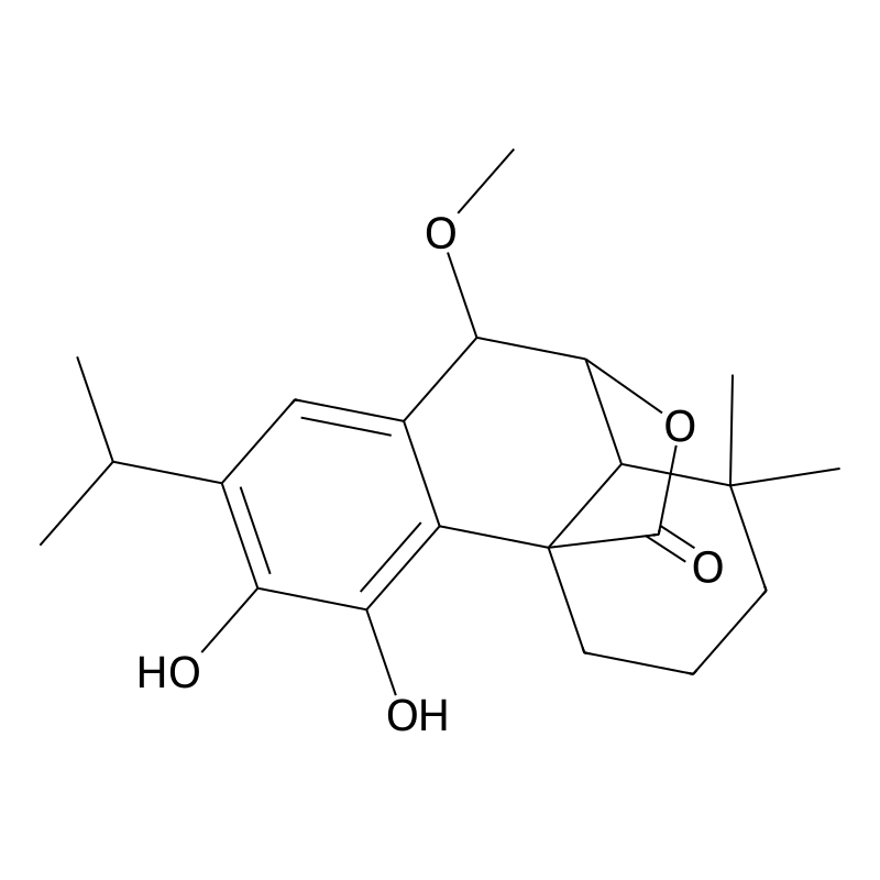 7-O-Methylrosmanol