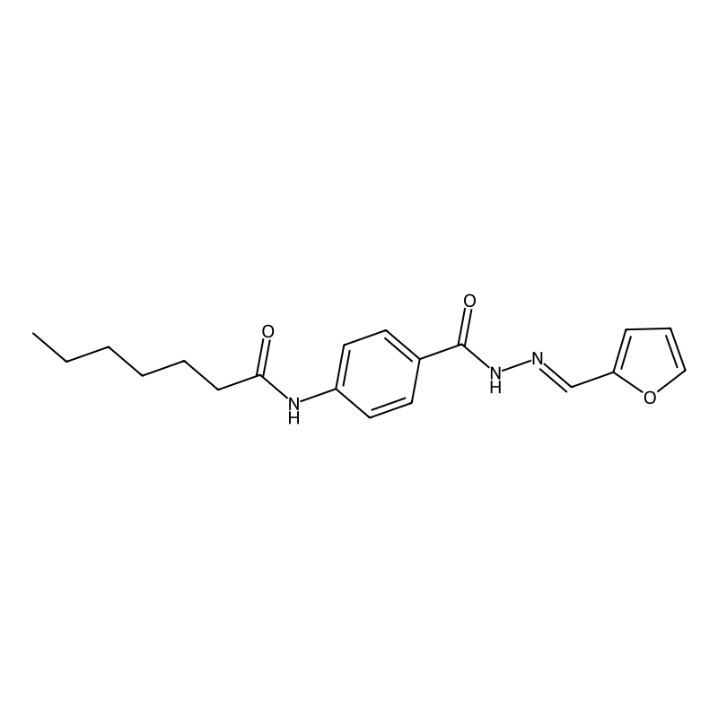 N-(4-{[2-(2-furylmethylene)hydrazino]carbonyl}phen...