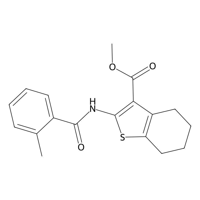 Methyl 2-[(2-methylbenzoyl)amino]-4,5,6,7-tetrahyd...