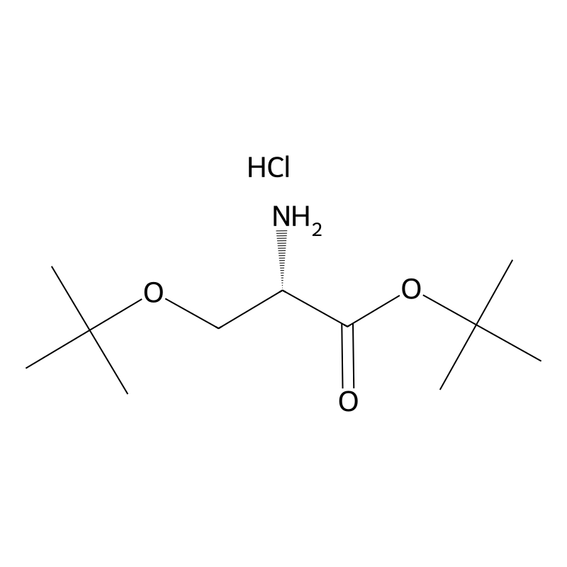 H-Ser(tBu)-OtBu HCl