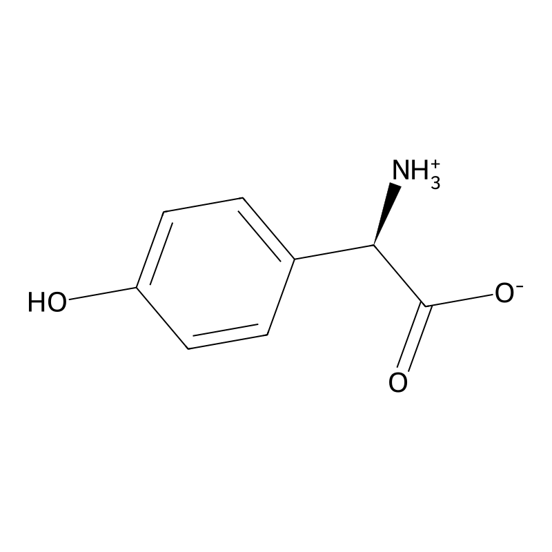 D-4-Hydroxyphenylglycine