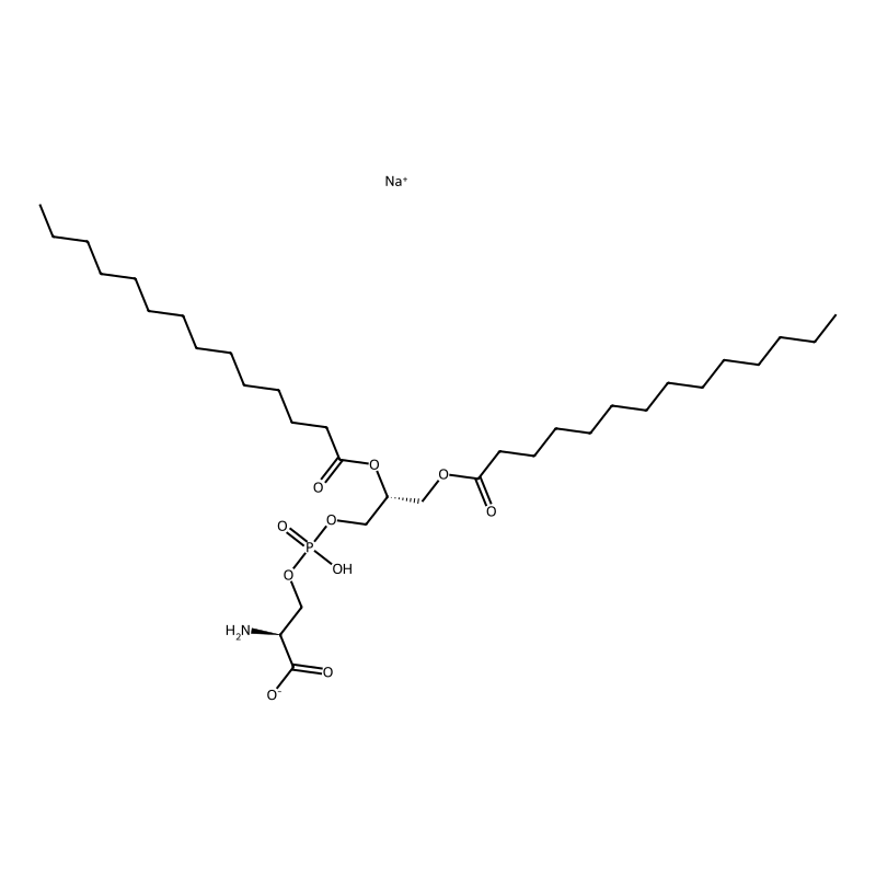 1,2-Dimyristoyl-sn-glycero-3-phospho-L-serine sodium salt