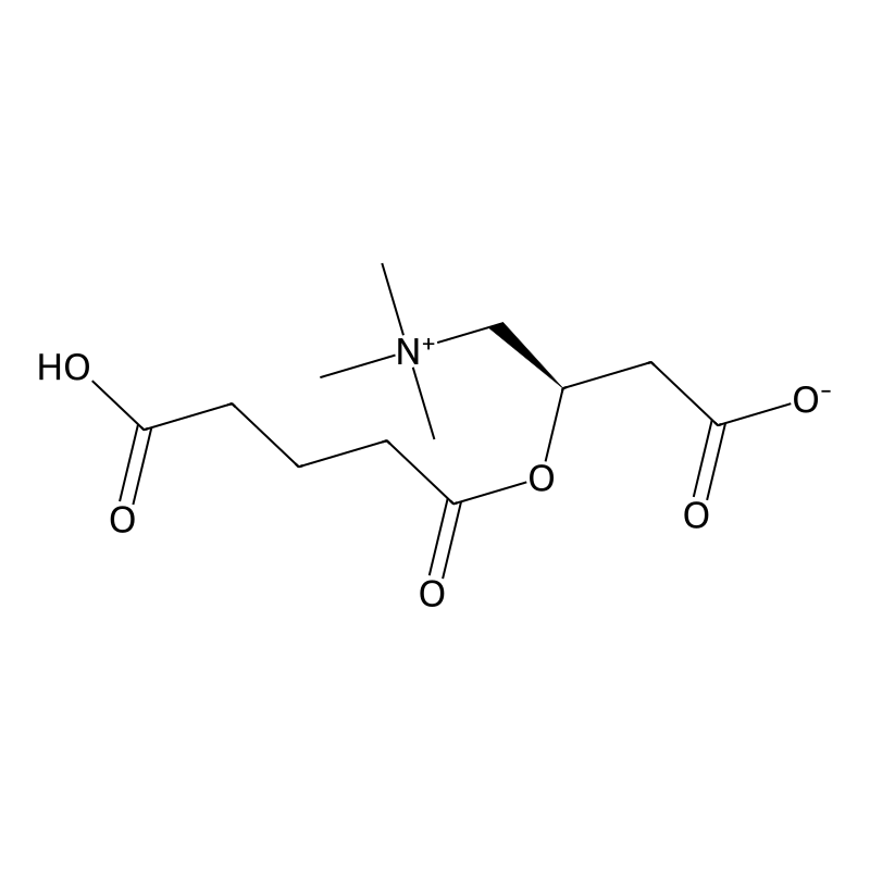 O-glutaroyl-L-carnitine