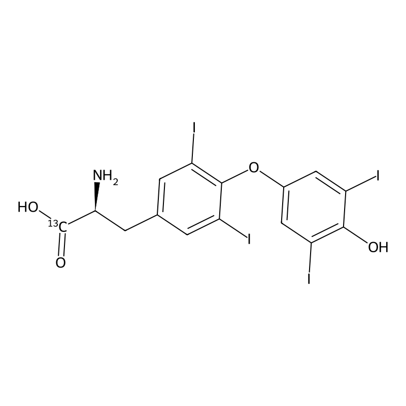 L-Thyroxine-13C6