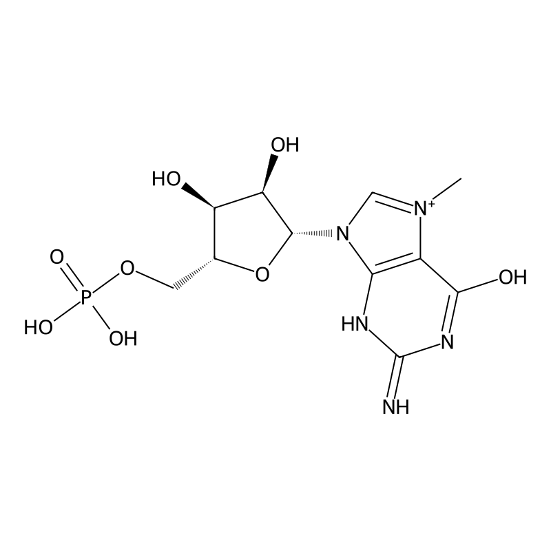 7-Methylguanosine 5'-phosphate