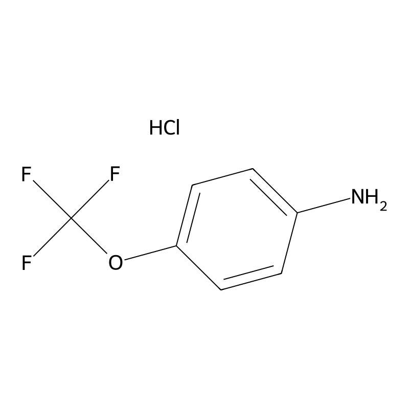 4-(trifluoromethoxy)aniline Hydrochloride