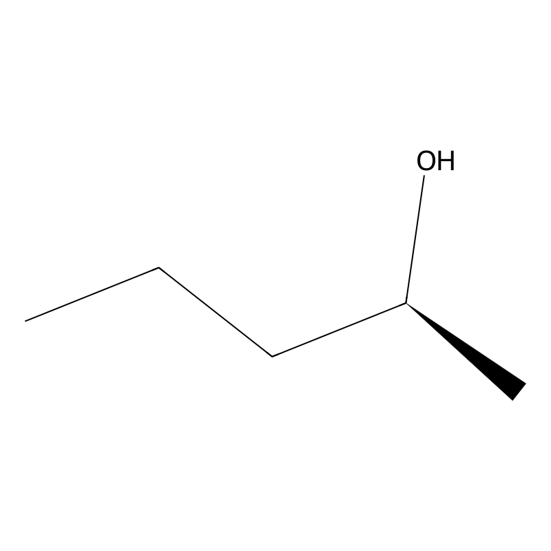 (S)-(+)-2-Pentanol