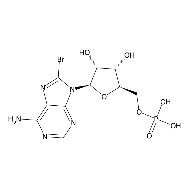 8-Bromo-AMP