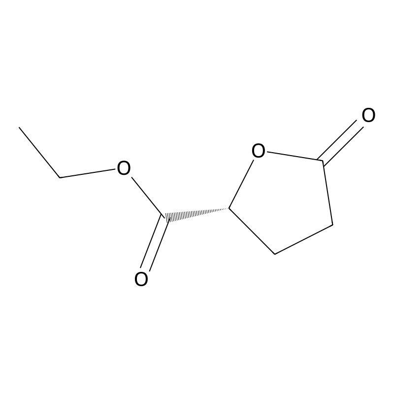 (R)-(-)-gamma-Ethoxycarbonyl-gamma-butyrolactone