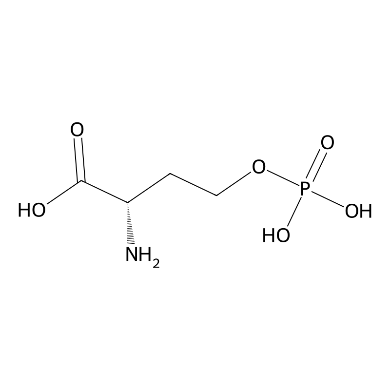 o-Phosphohomoserine