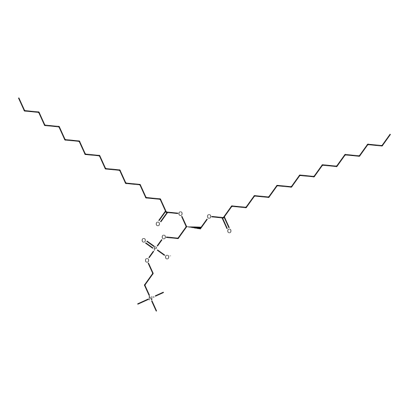 [(2S)-2,3-di(hexadecanoyloxy)propyl] 2-(trimethyla...