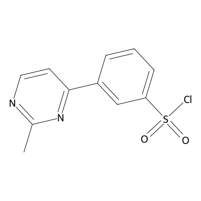 3-(2-Methylpyrimidin-4-yl)benzene-1-sulfonylchlori...