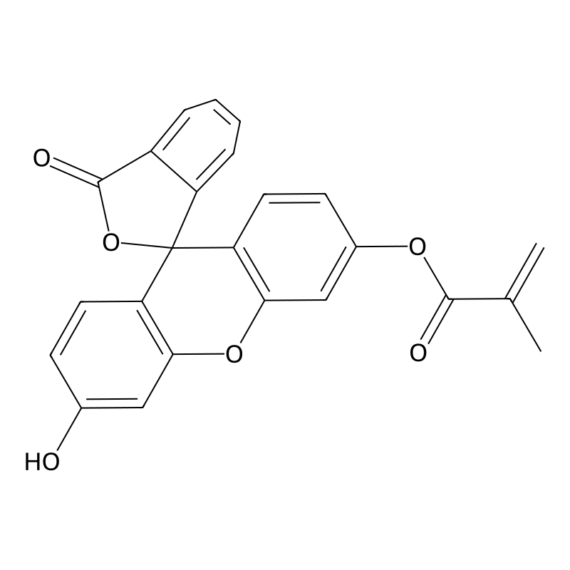 Fluorescein O-methacrylate