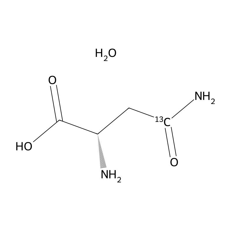 L-Asparagine-4-13C monohydrate