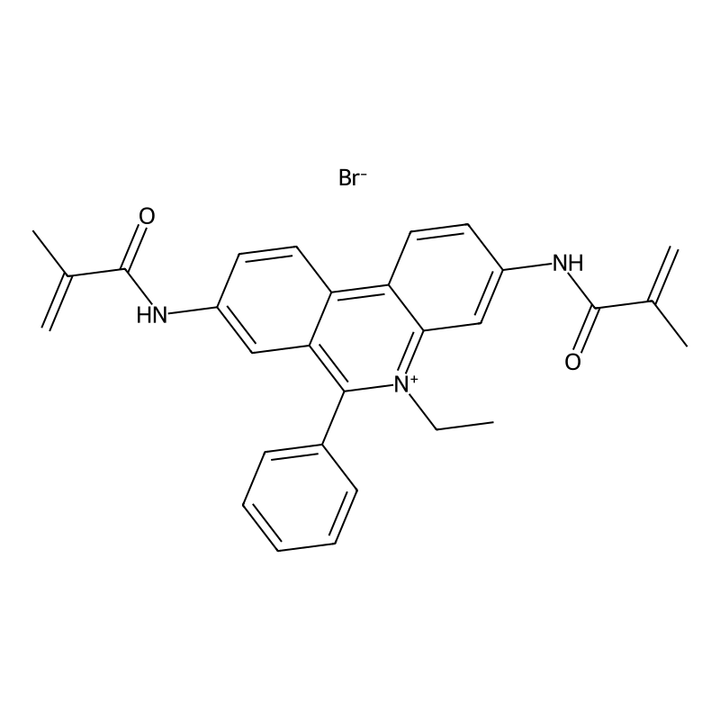 3,8-Bismethacryloyl ethidium bromide