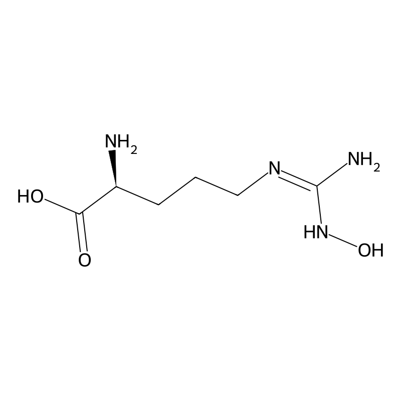 N-omega-Hydroxy-L-arginine