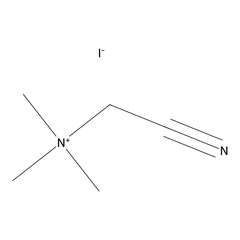 (Cyanomethyl)trimethylammonium iodide