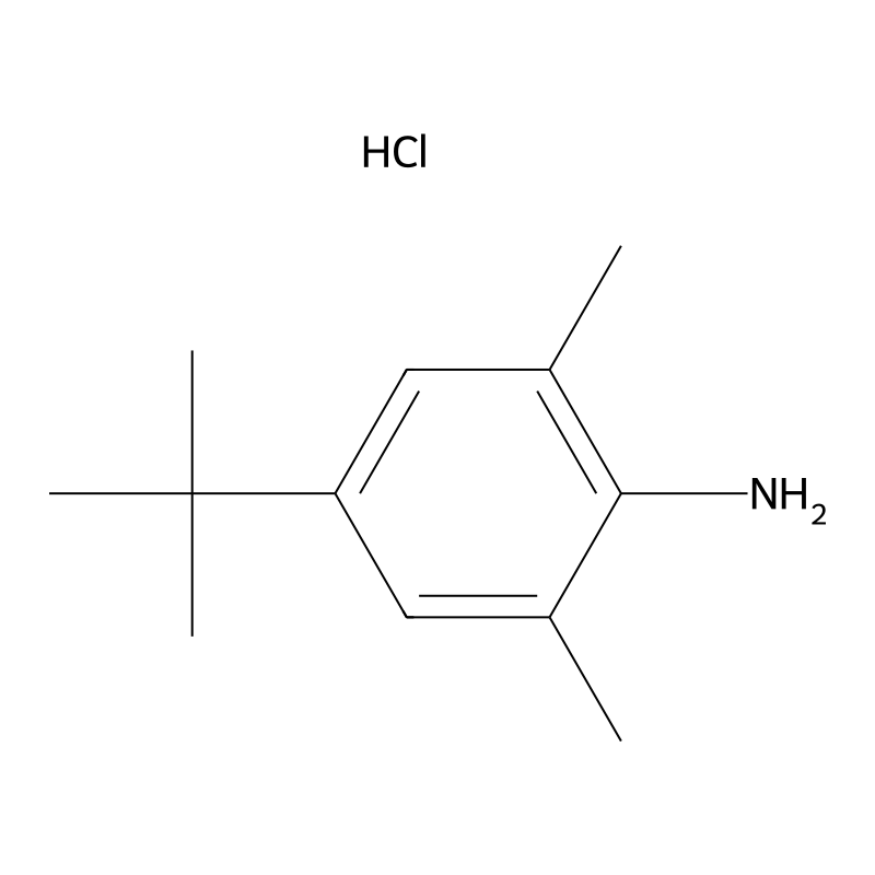 4-tert-Butyl-2,6-dimethylaniline hydrochloride