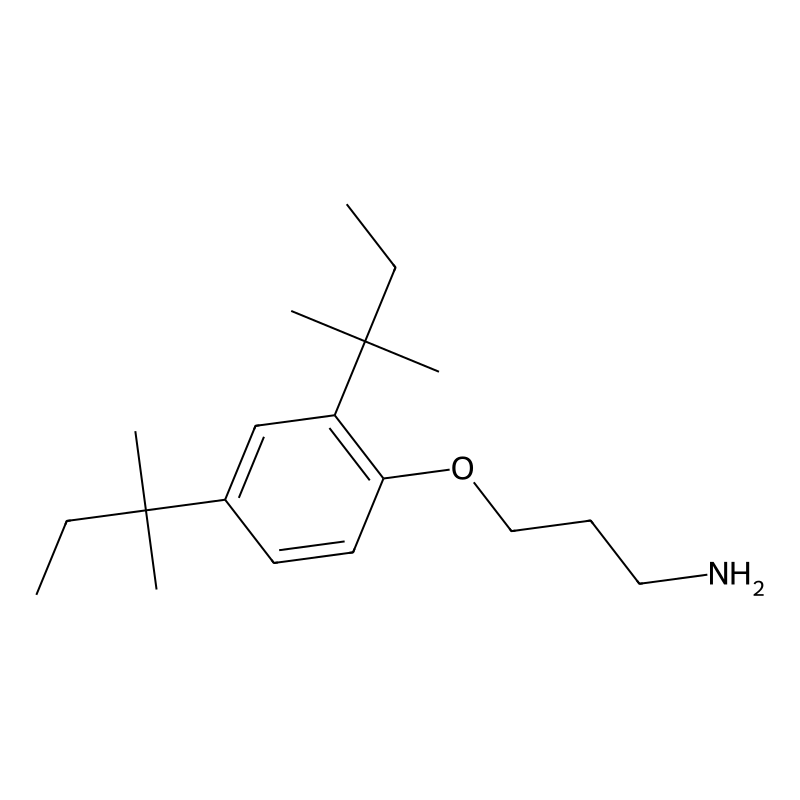 3-(2,4-DI-T-Pentylphenoxy)propylamine