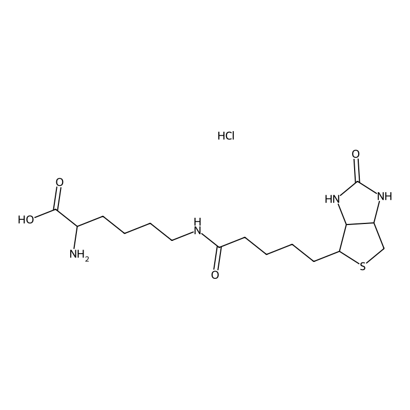 2-Amino-6-[5-(2-oxo-1,3,3a,4,6,6a-hexahydrothieno[...